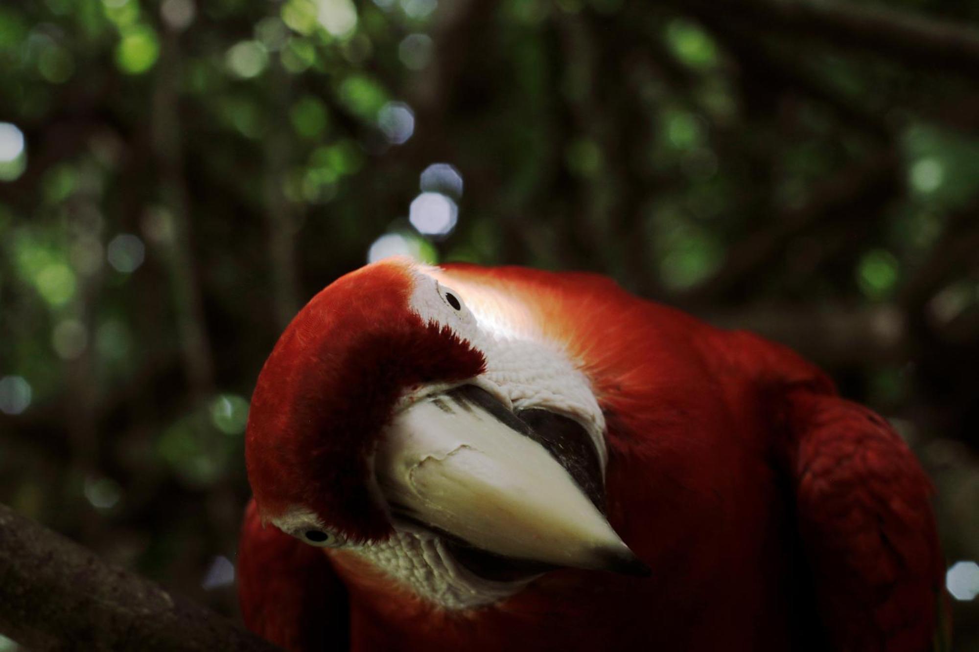 Finca Barlovento Cabana, Tayrona Лос-Наранхос Экстерьер фото